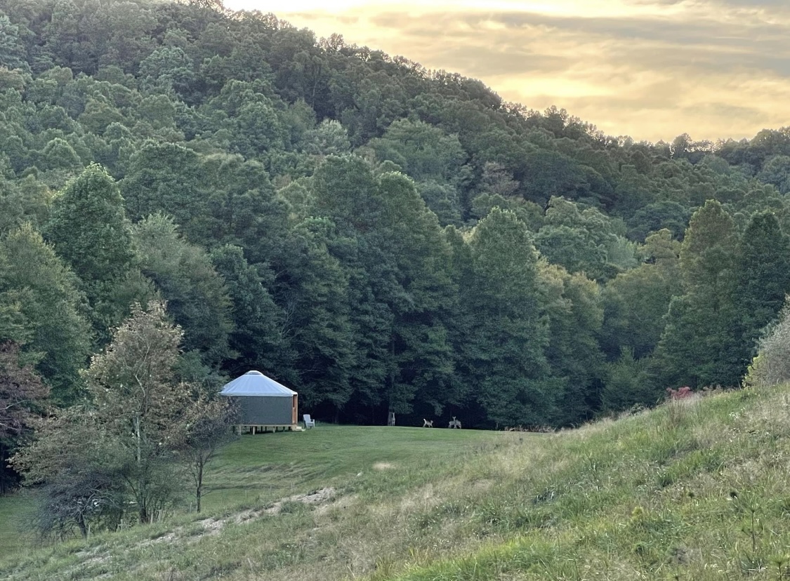 Wolfhaven Tree Farm Rentals and Events in Grafton, West Virginia