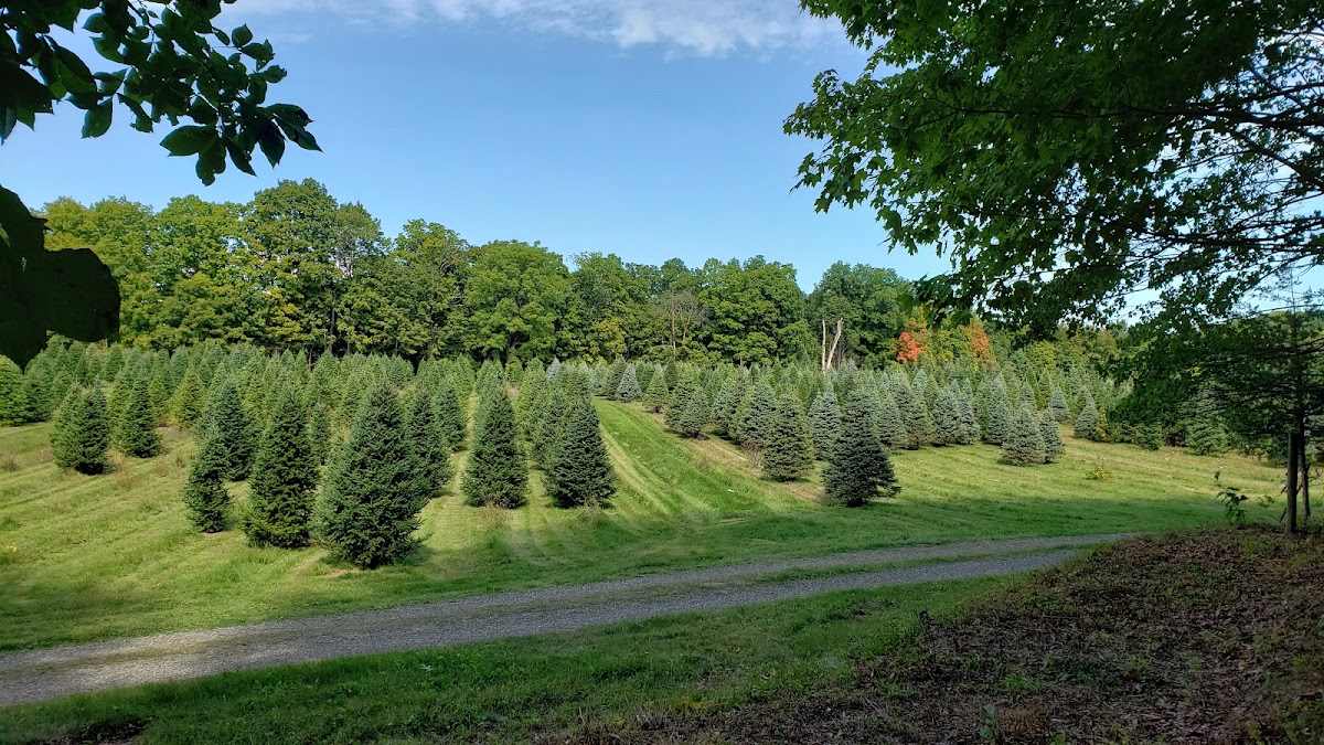 Wonderland Farm in Rhinebeck, New York