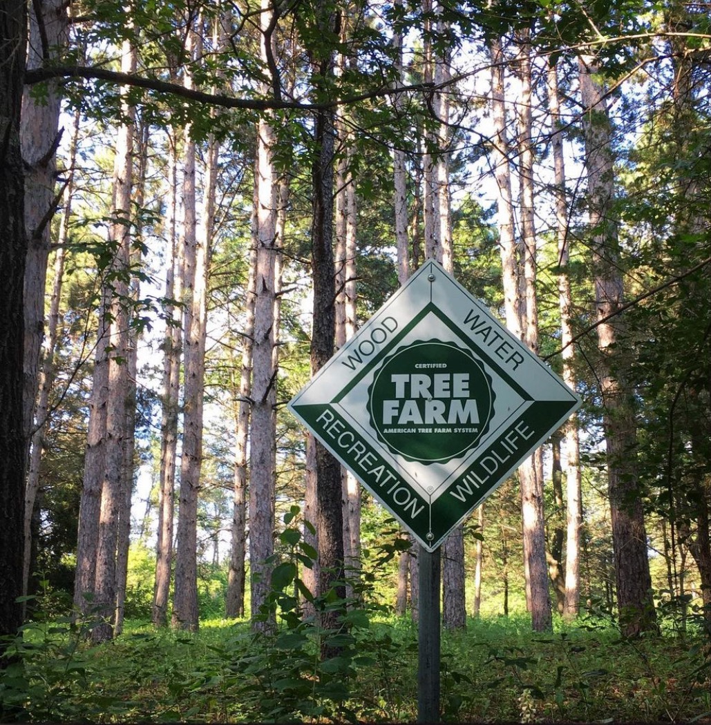 Wonderland Tree Farm in Afton, Minnesota