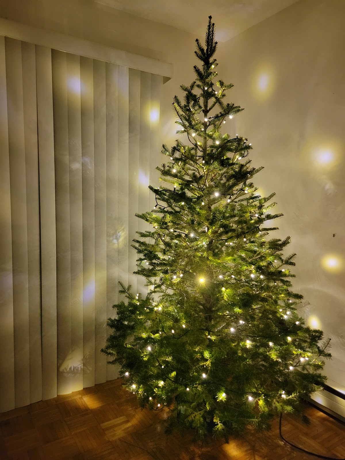 Yetter Road Christmas Tree Farm in Groton, Connecticut