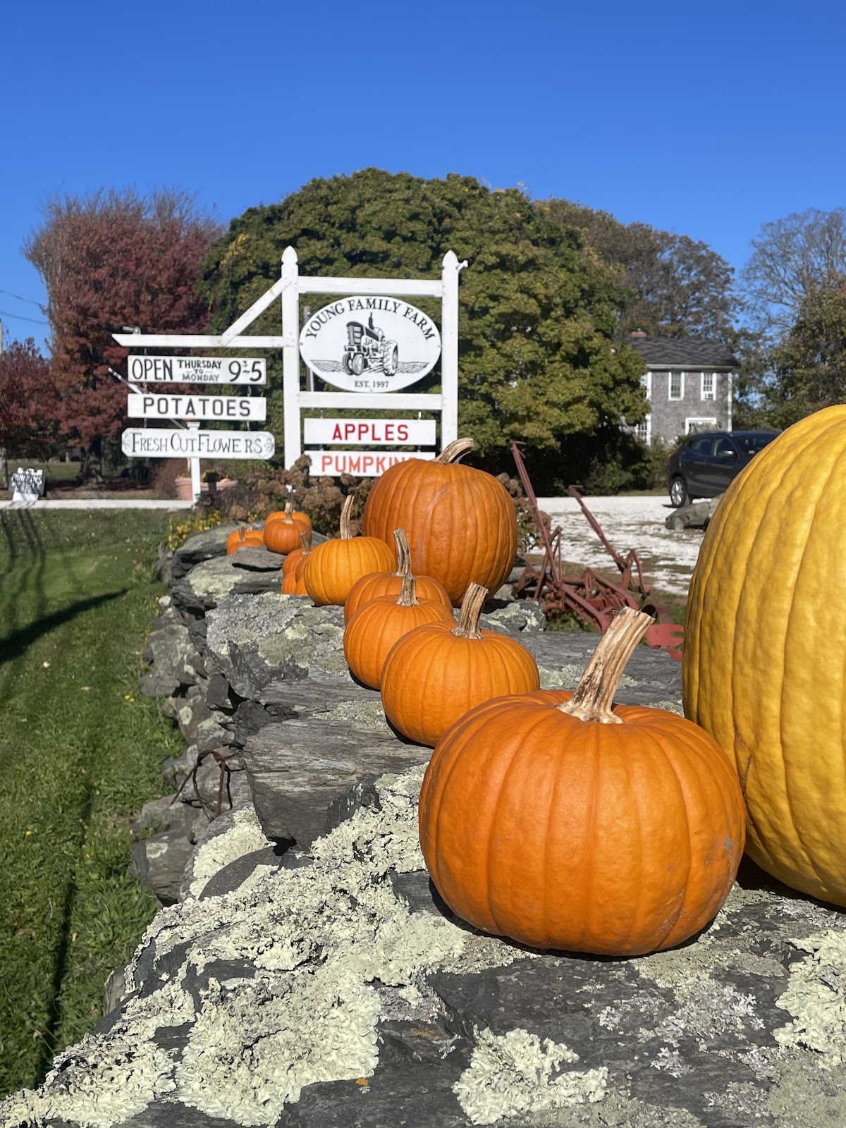 Young Family Farm in Little Compton, Rhode Island