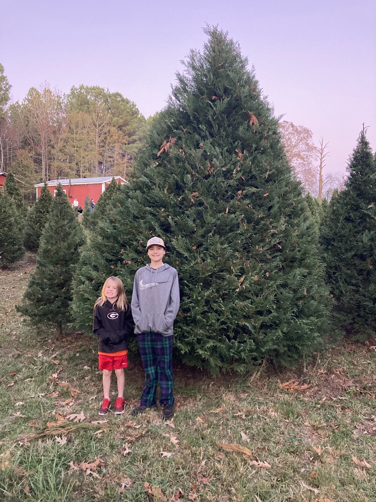 Yuletide Christmas Tree Farm in Covington, Georgia