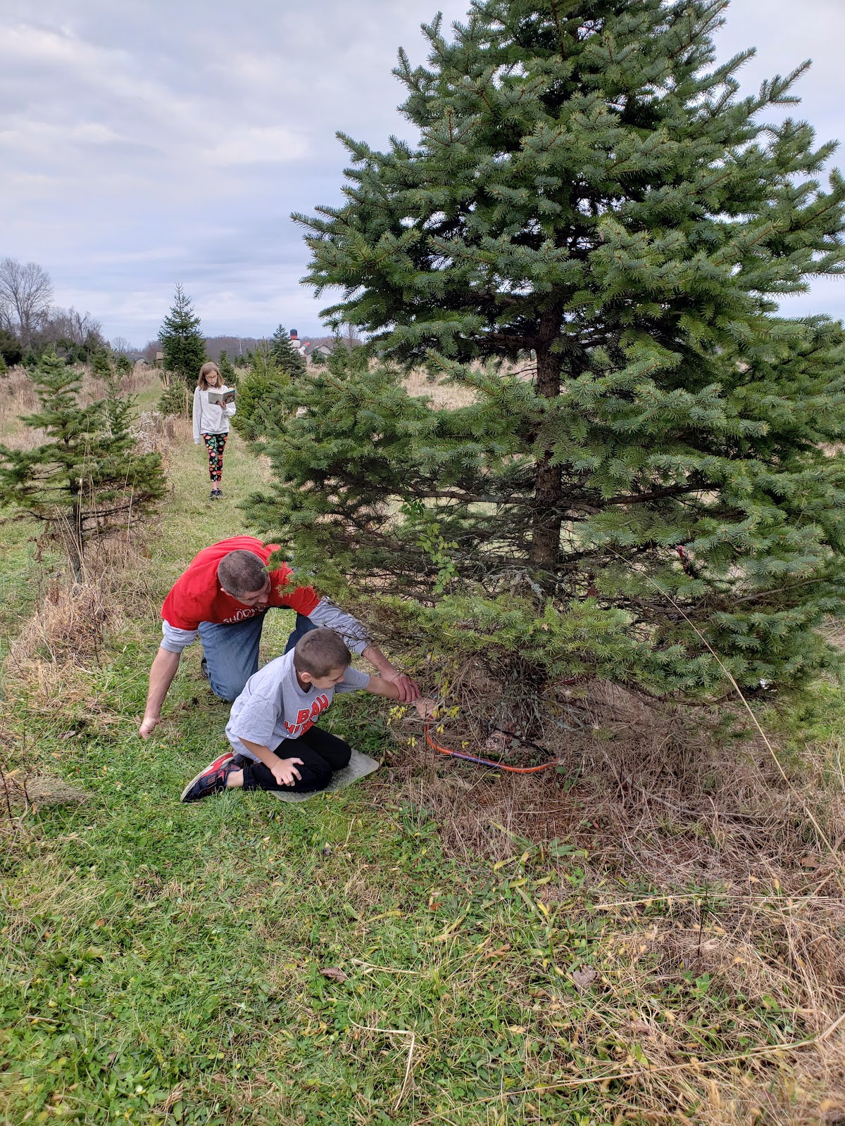Yuletide Tree Farm in Plumsted, New Jersey