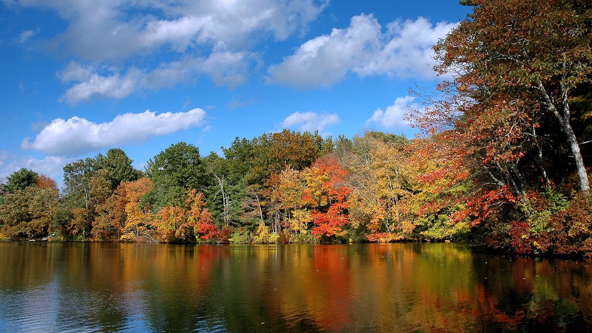 Yurechko Tree Farm in Griswold, Connecticut