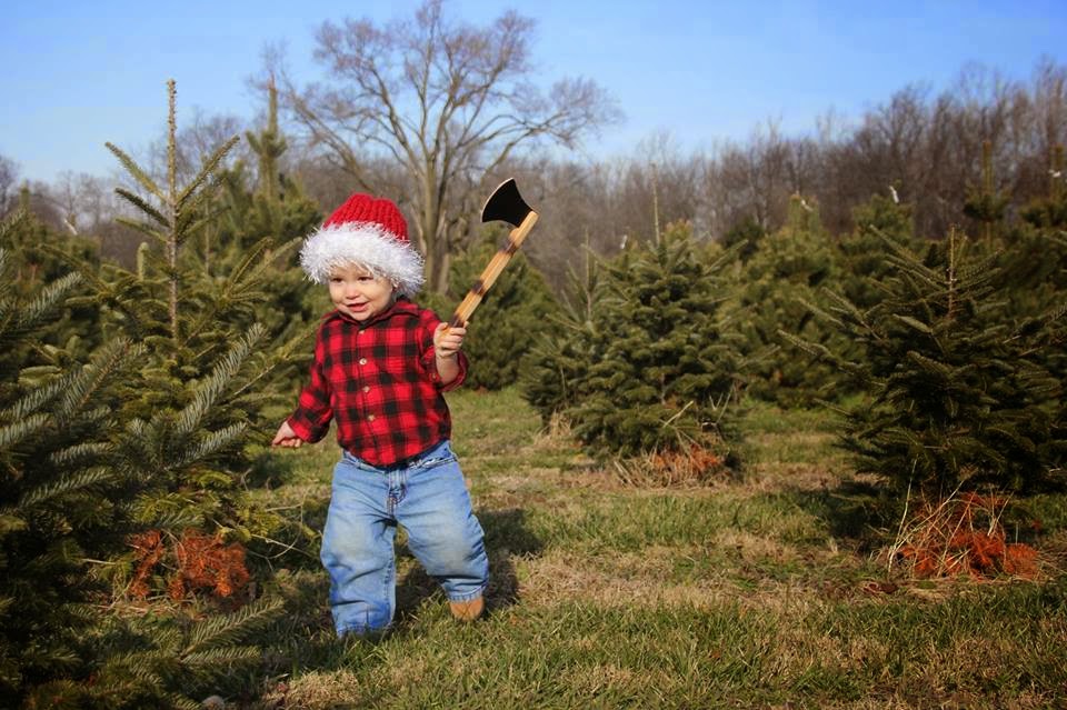 Zull Christmas Tree Farm, Sycamore Farms in Waynetown, Indiana