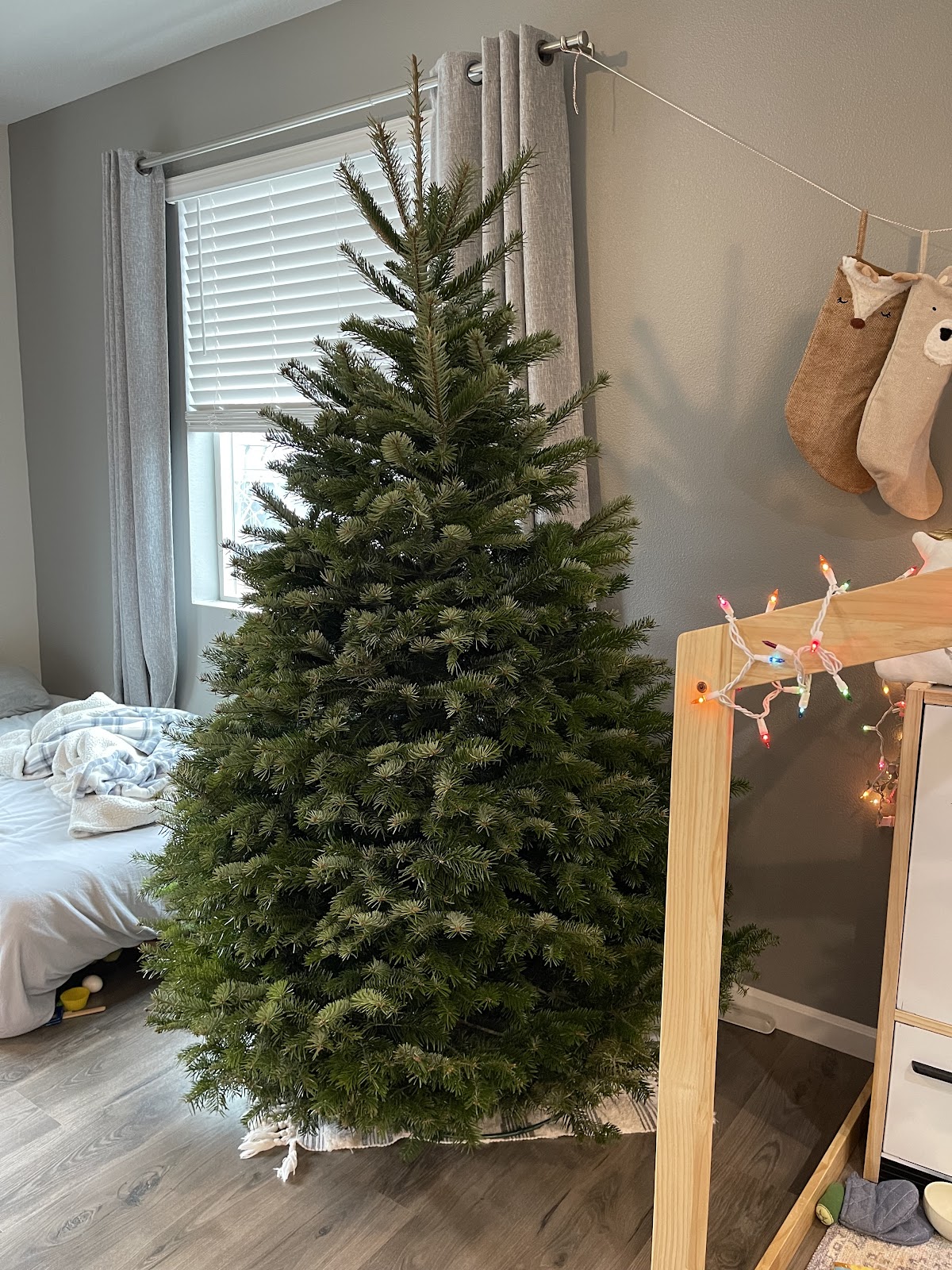 Zurbrugg Farms Christmas Trees in Portland, Oregon